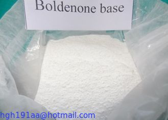 Steroide crudo di Boldenone della polvere di Boldenone fornitore 