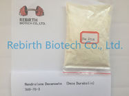 Il La Cosa Migliore Polvere steroide di Deca Durabolin delle nandrolone anaboliche di Decanoate 360-70-3 delle nandrolone per la vendita