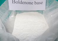 Il La Cosa Migliore Polvere cruda pura Boldenone CAS composto steroide 846-48-0 di 98% Boldenone per il culturista per la vendita