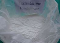 Porcellana Polvere cruda sana legale del testosterone di Isocaproate senza effetti collaterali 15262-86-9 distributore 