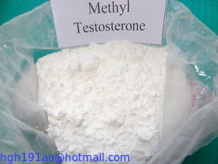 Methyltestosterone crudo della polvere del testosterone dello steroide anabolizzante per la carenza 58-18-4 del testosterone fornitore 