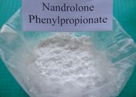 Porcellana Polvere steroide 62-90-8 delle nandrolone delle nandrolone di Phenylpropionate delle nandrolone distributore 